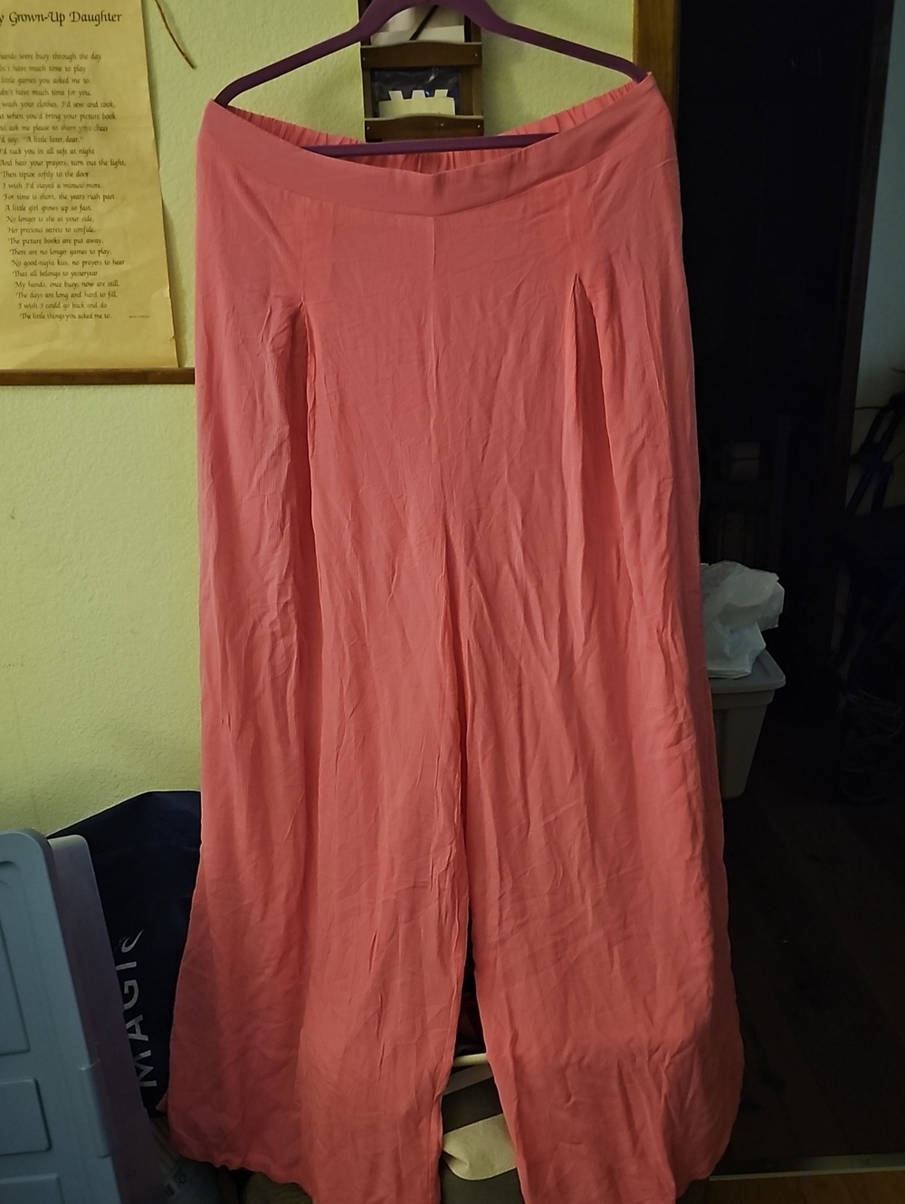 Coral Wide-Leg Palazzo Pants